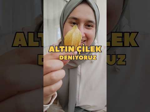 Altın çilek -