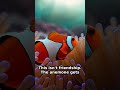 This Fish Bathes in Poison Every Day to Stay Alive