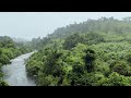 ស្ដាប់មុនចូលគេង - រំសាយអារម្មណ៍ ជាមួយនឹងសំលេងធម្មជាតិ​ និងទេសភាពដ៏ស្រស់ស្អាត 🍃🎧🎵