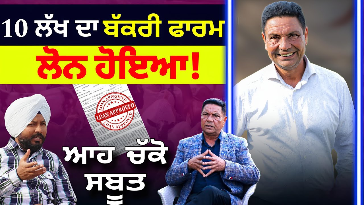 Goat farm loan pmegp - ਆਹ ਚੱਕੋ ਸਬੂਤ !10 ਲੱਖ ਦਾ ਬੱਕਰੀ ਫਾਰਮ ਲੋਨ ਹੋਇਆ ! Kang goat farm | goat farming