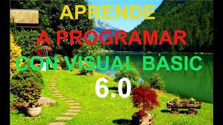 Aprende a programar visual Basic 6.0