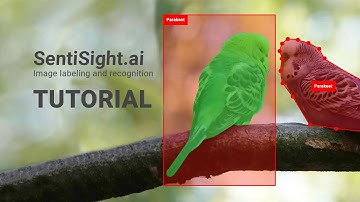 SentiSight.ai object detection training tutorial