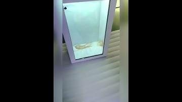 transparent screen box