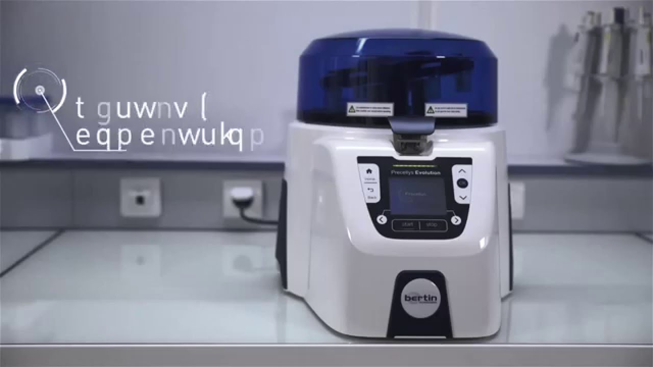 Protein extraction from cashew nuts using the Precellys® Evolution