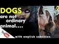 ABOUT 'Dogs' | Can dogs see ghosts | Kya kutte bhoot ko dekh sakte hain