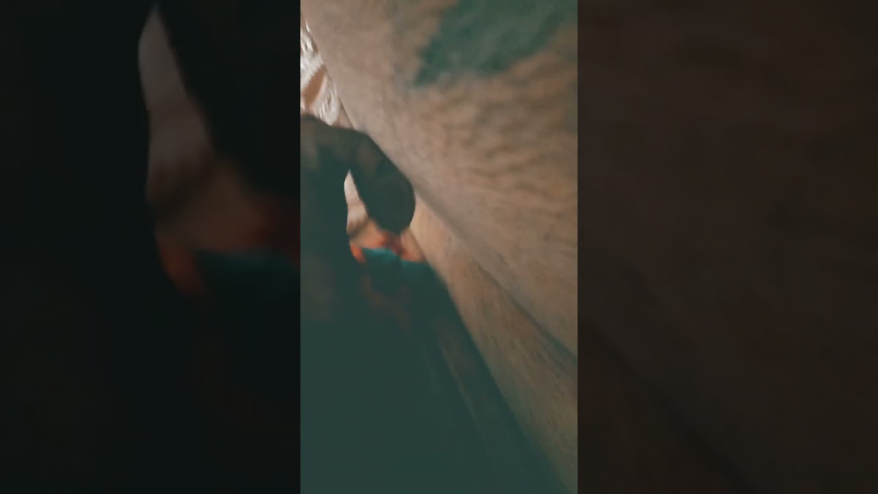 26 августа 2024 г.