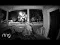 Watch This Porch Prowler Go POOF! | RingTVingTV