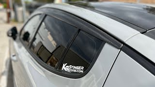 Athlete Statistics Stinger Carbon Fiber Window Visors