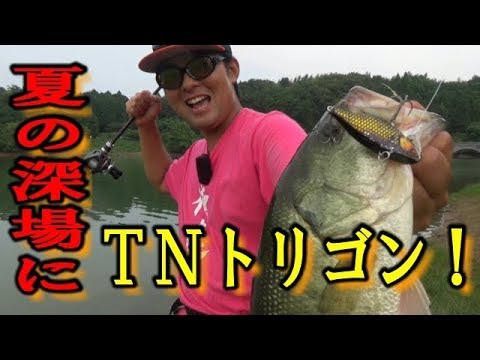 真夏の日指ダム ディープのバスにはtnトリゴンが効く Youtube