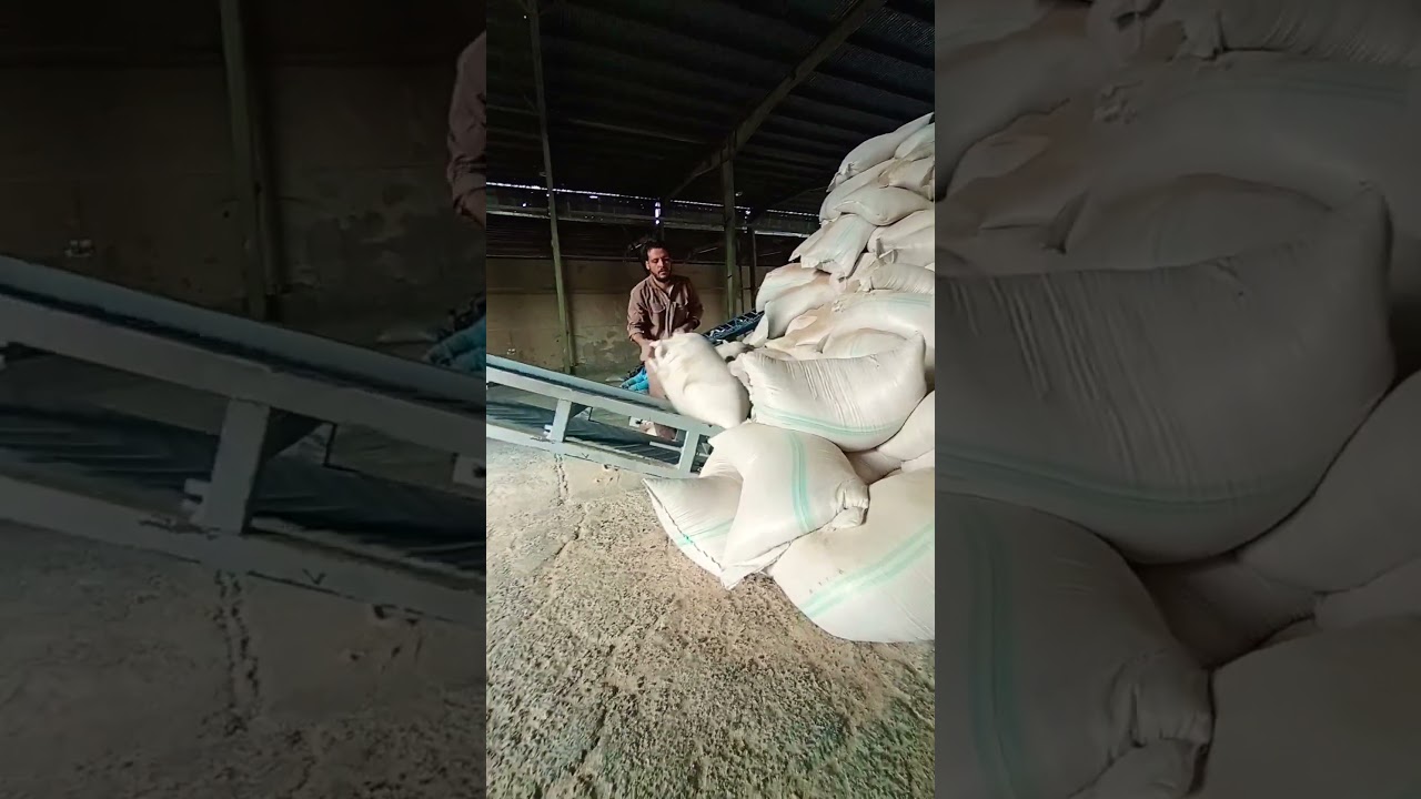 10 Tons of Fresh Bran – From Mill to Farm! 