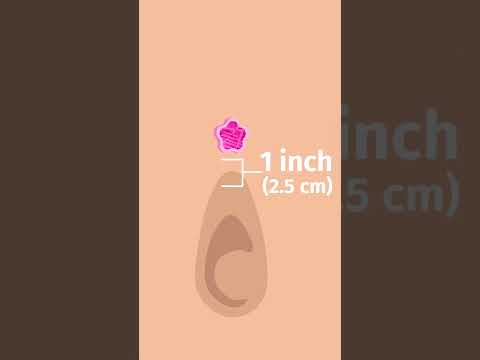 Video: 3 manieren om een neppe navelpiercing te maken