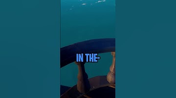 Best way to board a ship on Sea of Thieves!