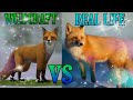 WildCraft vs Real Life