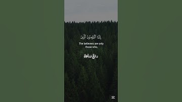 القرآن الكريم - محمد صديق المنشاوي #اكسبلور #المصحف #quran #راحة_نفسية #قرآن #لايك