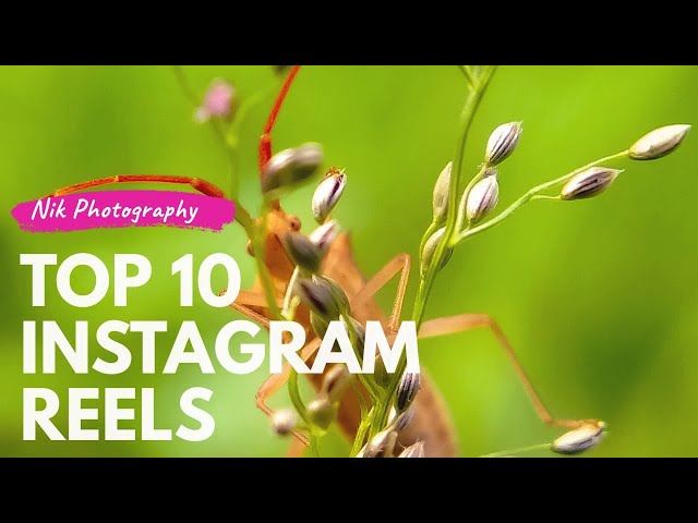 Creating INSTAGRAM REELS for Photographers 