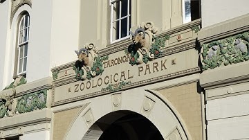 CarbonPlus™ Launch Event | Highlights Reel