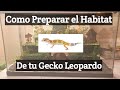 Habitat para Gecko Leopardo