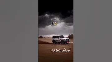 بنت الشيوخ 