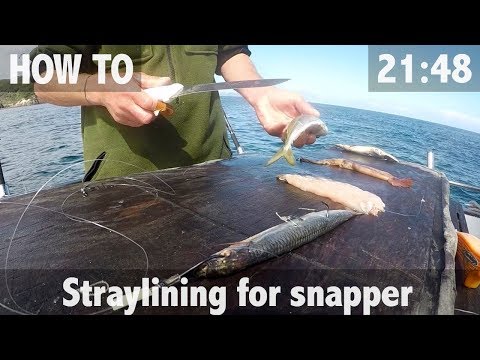 How to rig BALLYHOO with double hooks for trolling 