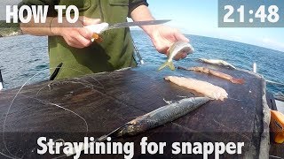 How To: Straylining for Snapper & 30lb Catch!