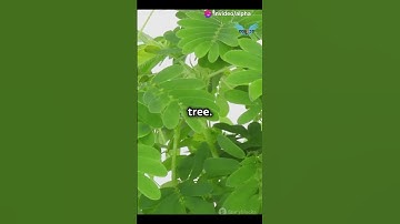 The Power of Small Habits: 1% Change