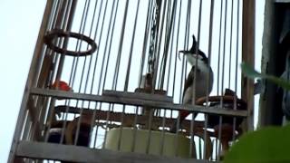 DSCN0099.MOV