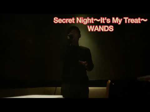 Secret Night~It's My Treat~ / WANDS 歌ってみた