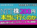 NTT株価200円はいつ？もう少し下げてから上昇に転じるか。政府の株売却はチャンスなんだ！