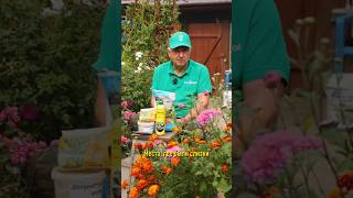 🐌Слизней и улиток будет гораздо меньше, если посыпать грядки этим средством!