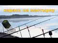 Клёв карася на ГОРОХОВУЮ МАСТЫРКУ 🟡 Неплохой УЛОВ🐟 Клёвая РЫБАЛКА)))