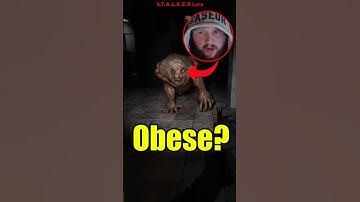 Psuedogiants Explained! | STALKER Lore #stalker#stalker2 #shadowofchernobyl