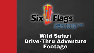 Wild Safari Drive-Thru Adventure footage | Six Flags Great Adventure