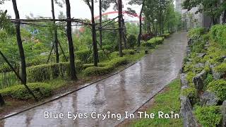 Video thumbnail of "Blue Eyes Crying In The Rain -  Olivia Newton John"