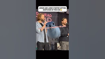 Jensen And Jared Started Getting Suspicious Of This Fan🤣 #shorts #jensenackles