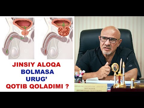 #128 DOKTOR D: JINSIY ALOQA BO'LMASA URUG' QOTIB QOLADIMI?