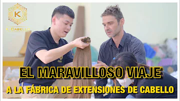 ¿De dónde viene el pelo postizo?