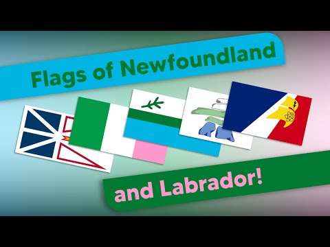 Video: Terranova y Labrador de un vistazo