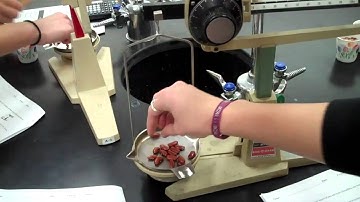 Bean Lab Simulating Isotopes