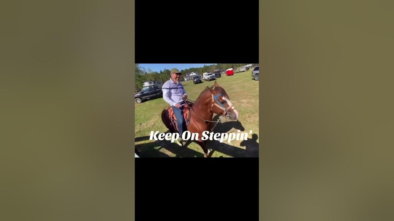 Horse dancing to “Keep On Steppin” by Mike Clark Jr ! #KeepOnSteppin #MikeClarkJr
