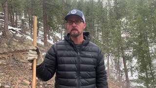Mule Deer Pellet Counts