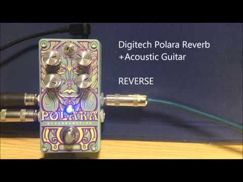 Digitech Polara Reverb+Acoustic Guitar