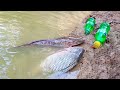 Amazing Boy Catch Fish With Plastic Bottle Fish Trap ! Fish Trap in Cambodia Method (Part-4)