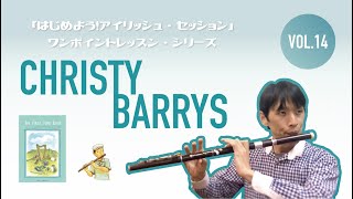 Video thumbnail of "No.14 "Christy Barry's" Irish Session tune100"