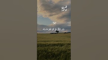 ﴿وَمَنْ يَتَّقِ اللَّهَ يَجْعَلْ لَهُ مَخْرَجًا﴾       #ارح_سمعك #اكسبلور  #تلاوة_هادئه  #المصحف