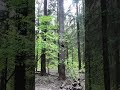 Снято на Dji osmo pocket 3