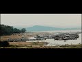 ATUR TEMPO (Coming Soon Music Video) Bro&Sis Indonesian Reggae