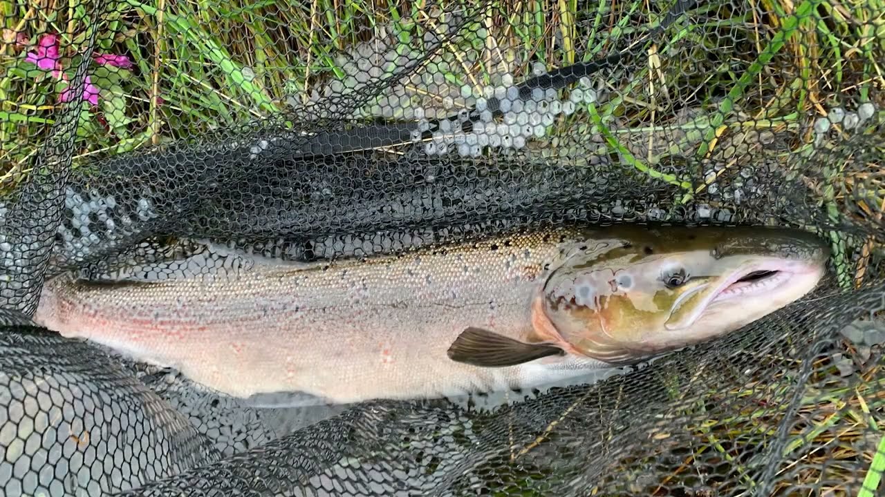 Season End - The River Teith 2022