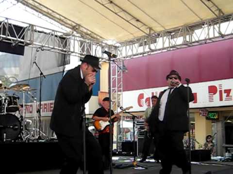 Briefcase full Of Blues in reno Nevada performing ...