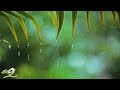 Relaxing Piano Music & Rain Sounds 24/7 • Sleep, Relax, Study, Read, Focus, Yoga, Spa, Mindfulness