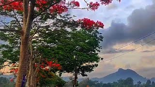 Kulepas Dirimu Dengan Ikhlas Lesti Dan Erie Suzan @MediaUnicaFC